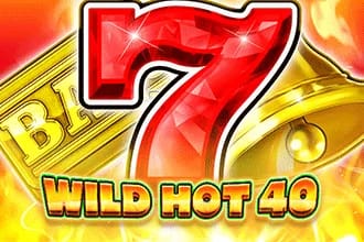 Wild Hot 40