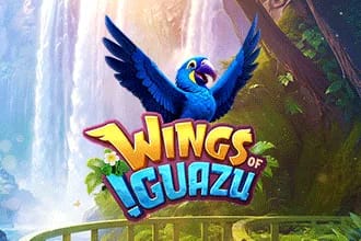 Wings of Iguazu