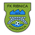 FK Ribnica